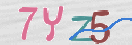 CAPTCHA Image
