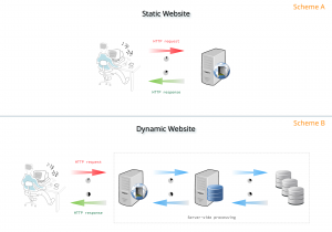 static-dynamic-website-content