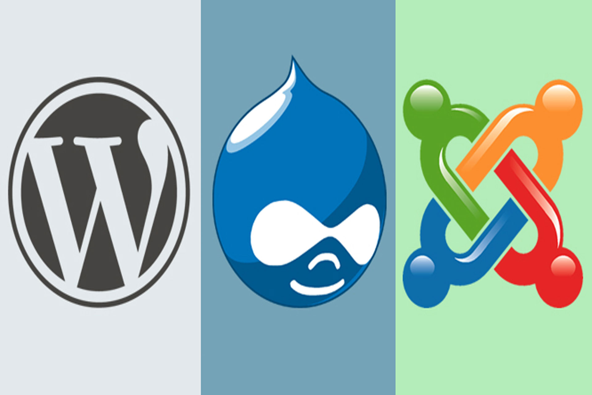 drupal vs wordpress 2020